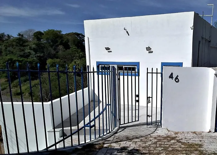 La Leona 1